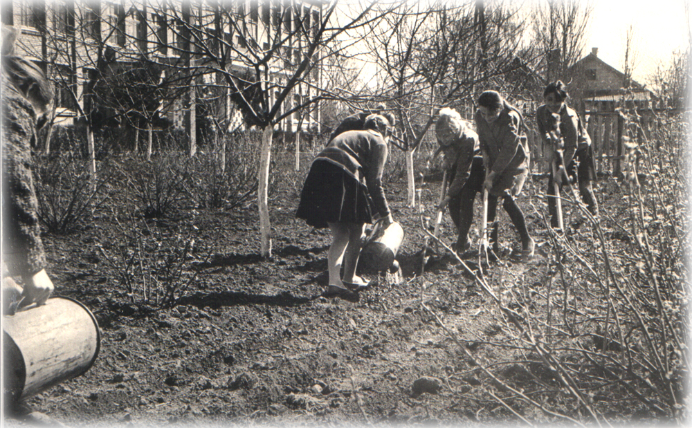 стара школа - 2 стара школа - 2