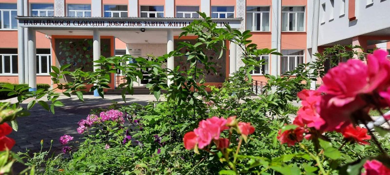 Educational institution management structure