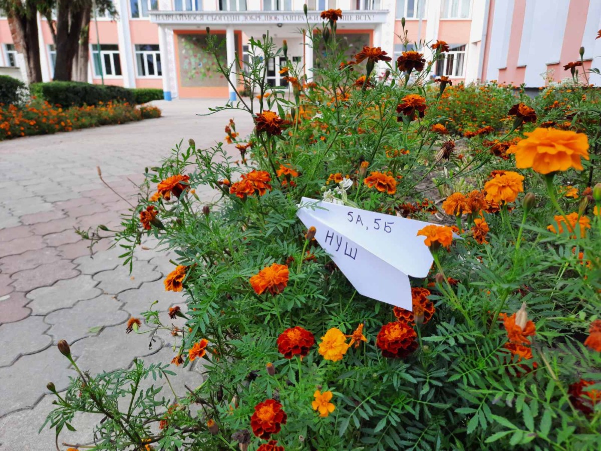 Our school
